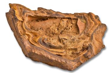 Piece of Northamptonshire ironstone, from Irchester Country Park.