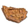 Piece of Northamptonshire ironstone, from Irchester Country Park.