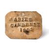 Copper metal tree label affixed to trees planted in the grounds of Ecton Hall