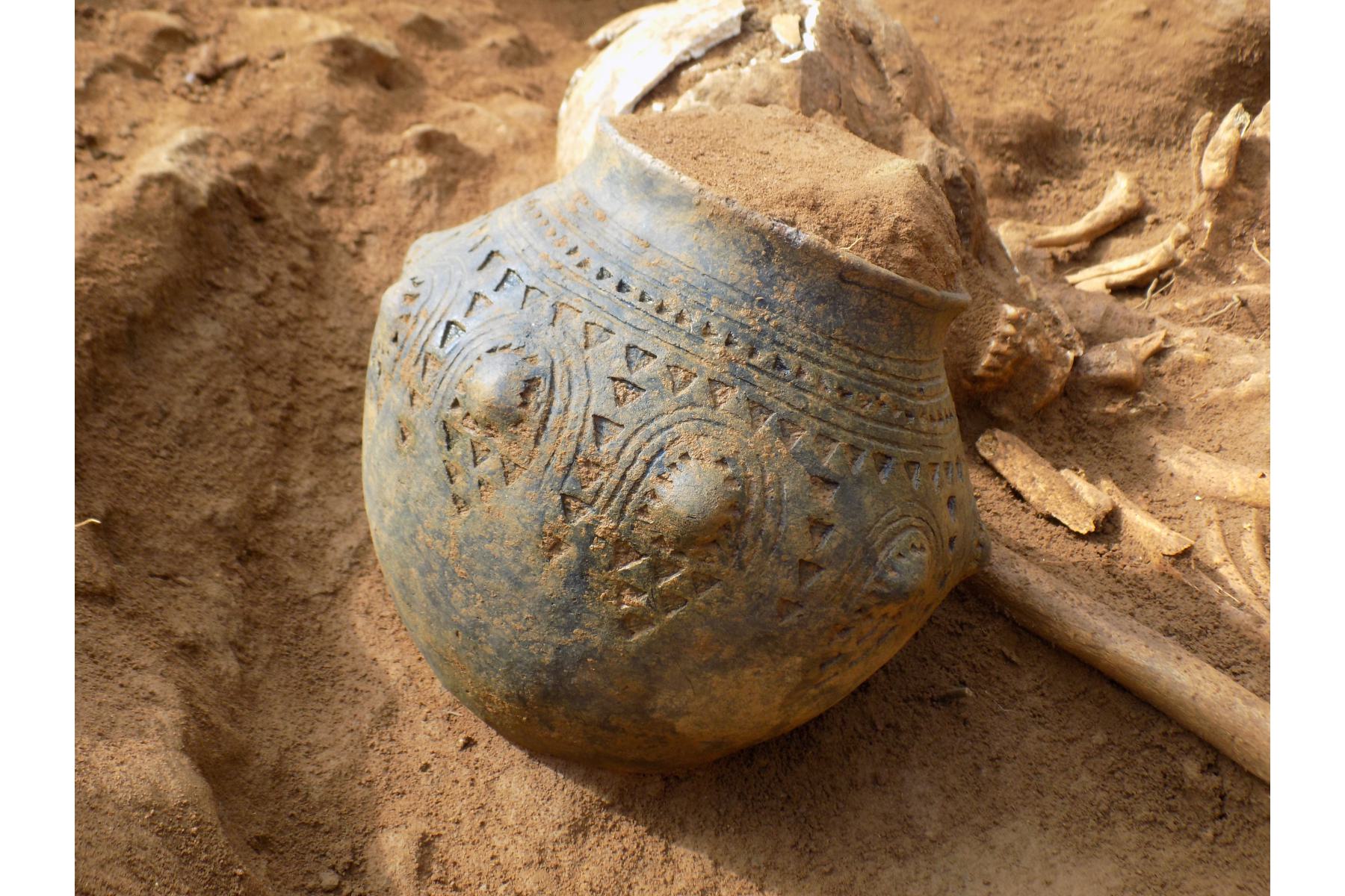 Overstone Leys Anglo-Saxon pottery urn in situ alongside the head of the grave's occupant