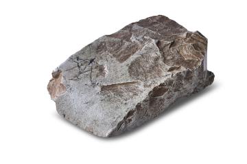 Neolithic stone adze