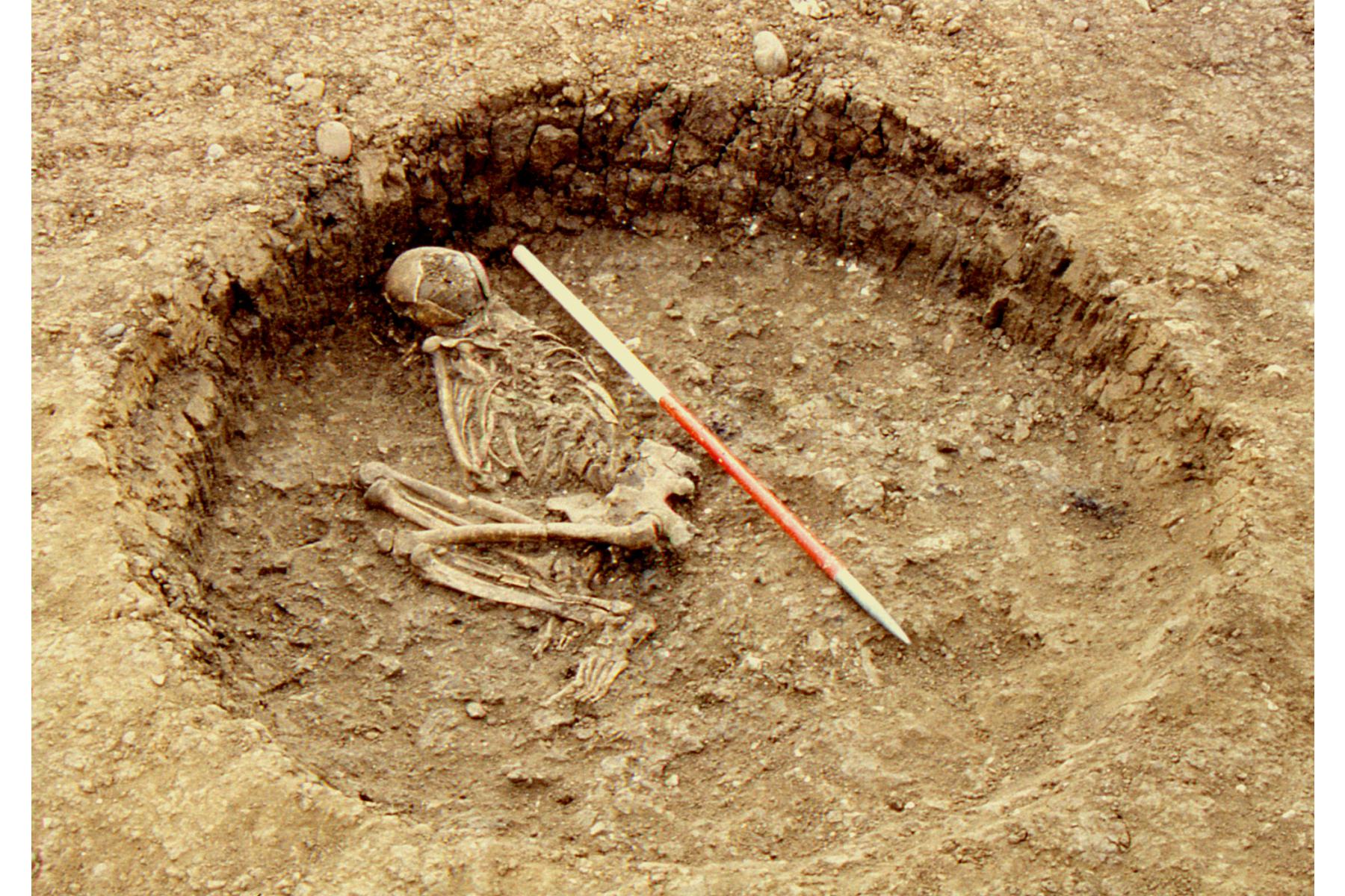 Iron Age Torc burial