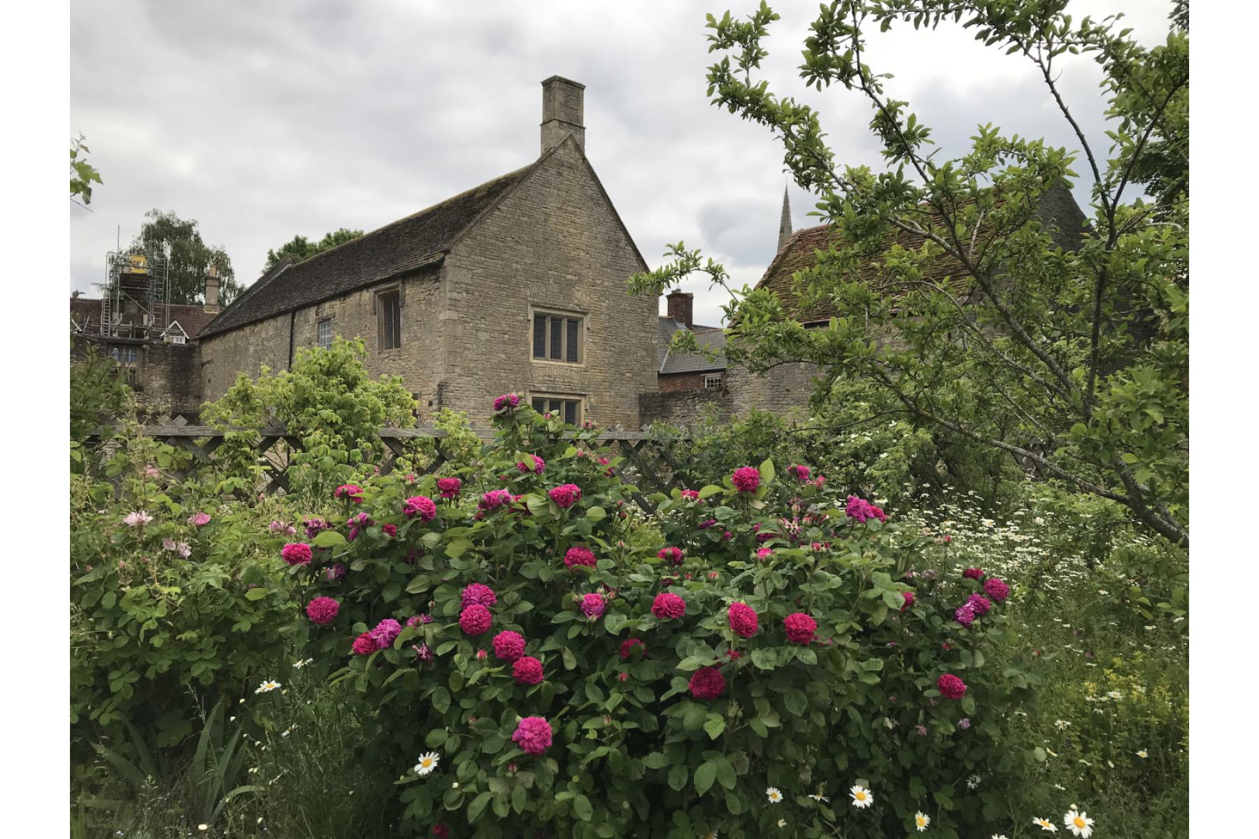 Rear of Chichele College and gardens