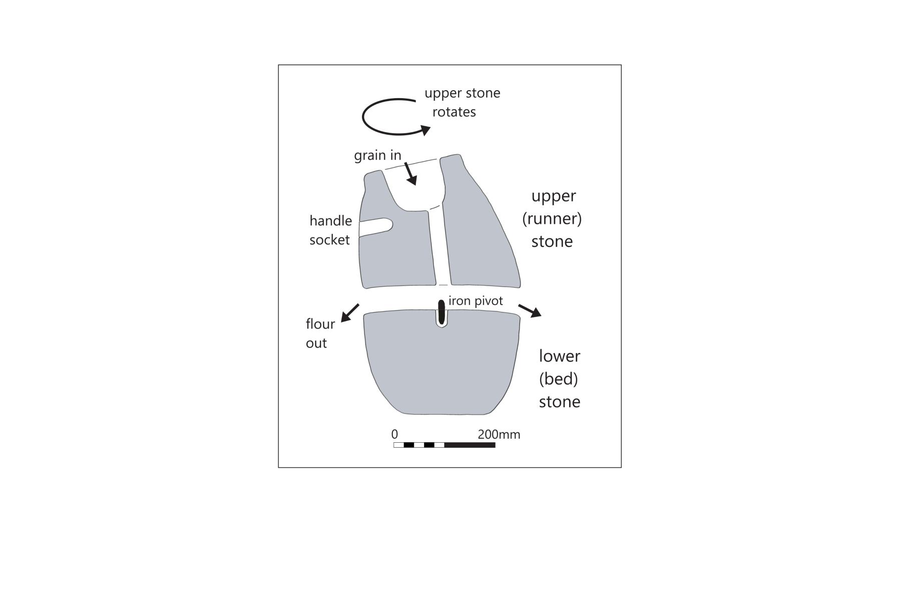 Diagram of rotary quern showing how it was put together and used