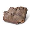 Roman pottery tile marked with maker's name