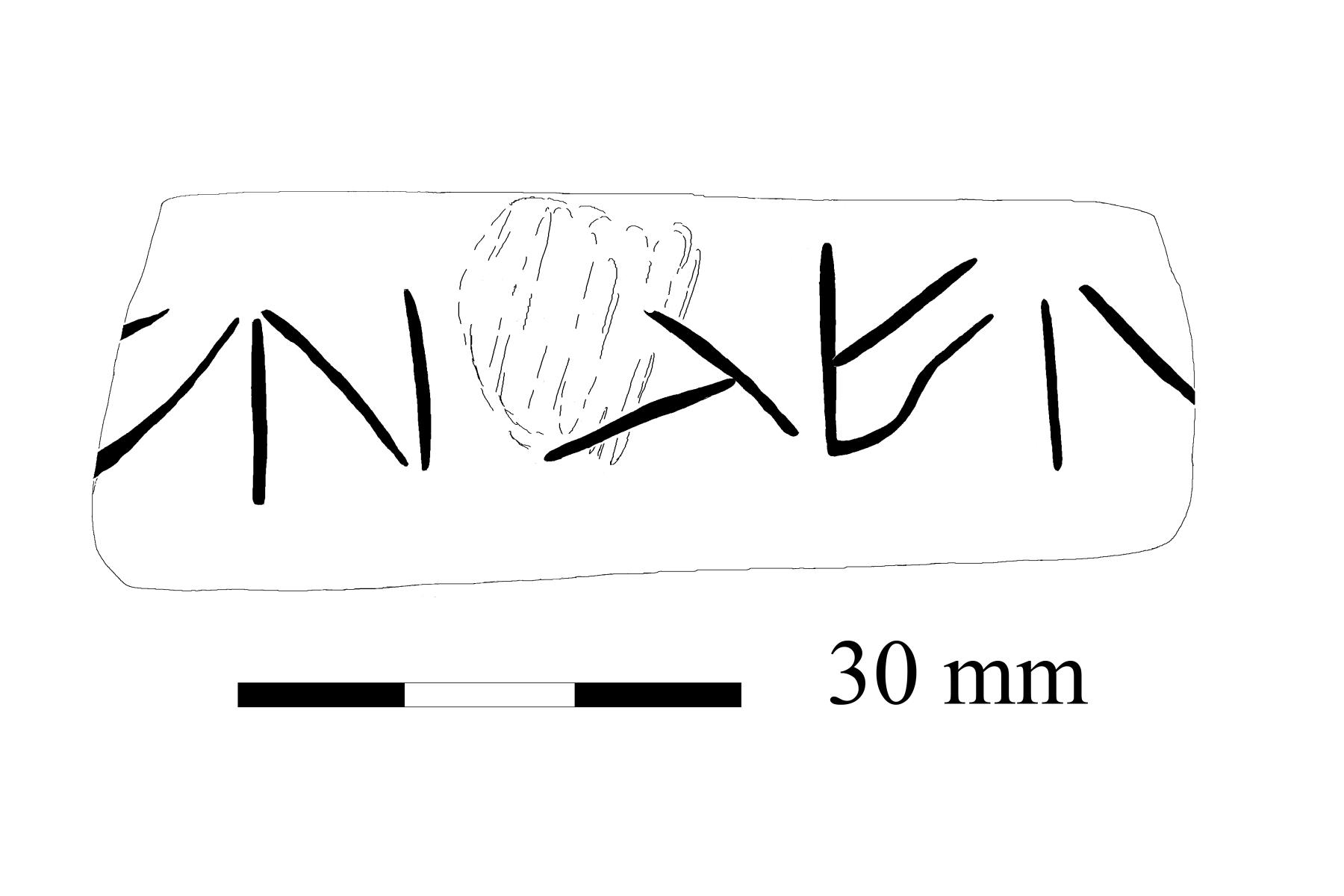 Composite drawing of spindle whorl showing the incised graffito