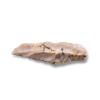 Mesolithic flint blade or microlith