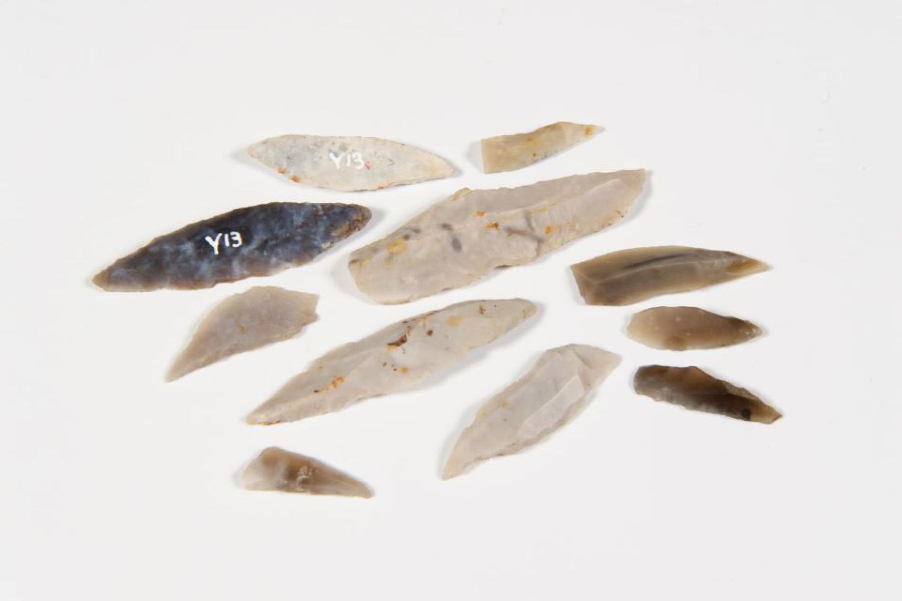 Mesolithic microlith tools from Duston, Northampton on display in Northampton Museum and Art Gallery
