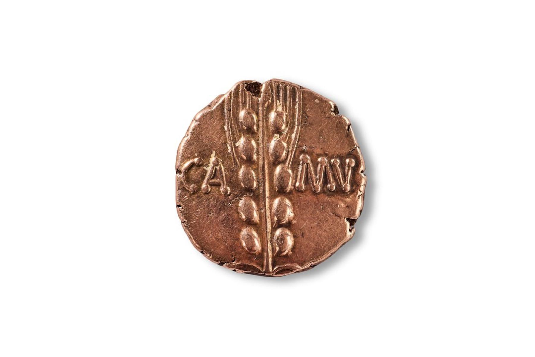 Obverse (head) of gold celtic stater bearing name of Cunobelin