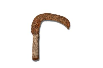 Iron Age reaping hook - iron blade with bone handle