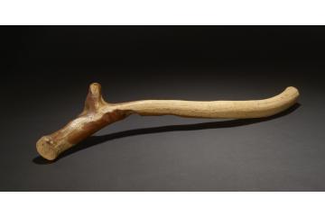 Reindeer antler or Lyngby axe from Earls Barton, Northamptonshire