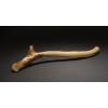 Reindeer antler or Lyngby axe from Earls Barton, Northamptonshire