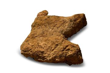 Dinosaur footprint cast, one of several found at Irchester Country Park.