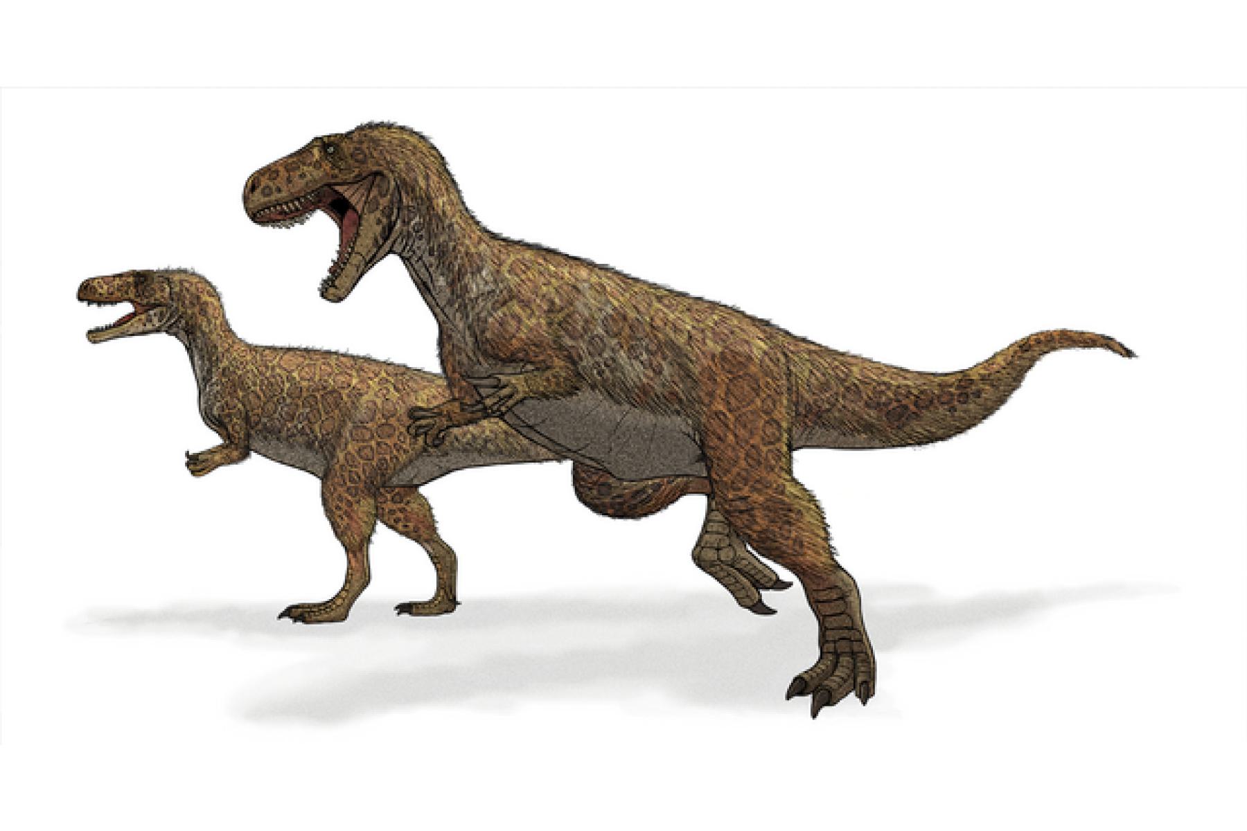 Reconstruction of Megalosaurus with a mostly hypothetical head