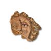 Painted wall plaster from Roman villa bath house.