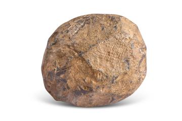 Medieval lead cannonball fired during the Battle of Northampton in 1460