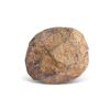 Medieval lead cannonball fired during the Battle of Northampton in 1460